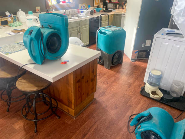 Best Flood damage cleanup  in Rocky Point, NC