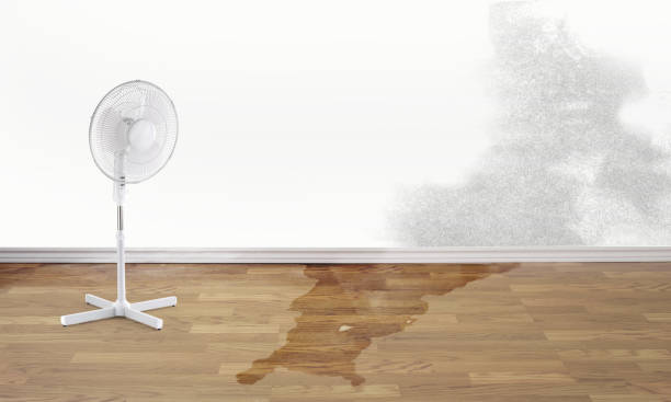 Best Emergency water damage restoration  in Rocky Point, NC