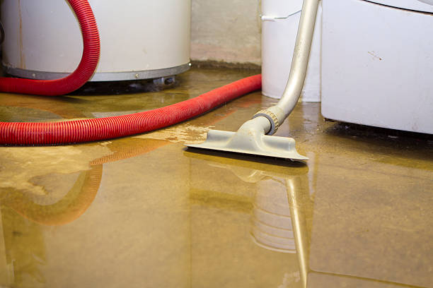 Best Local water damage restoration  in Rocky Point, NC