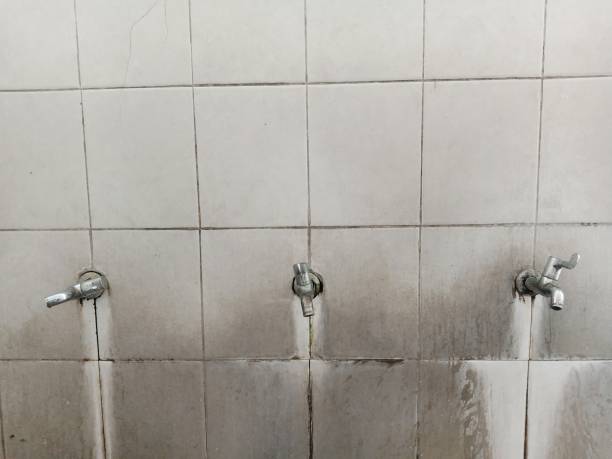Professional Water damage restoration in Rocky Point, NC