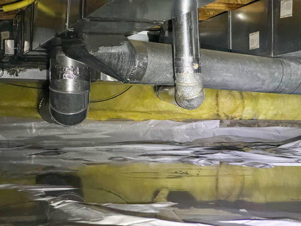 Best Flood restoration services  in Rocky Point, NC