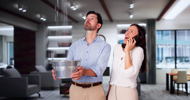 Best Residential water damage restoration  in Rocky Point, NC