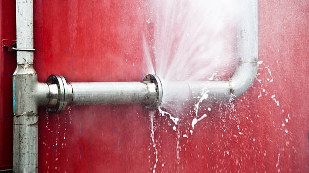 Best Basement water damage restoration  in Rocky Point, NC